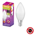 LED Antibakteriálna žiarovka B40 E14/4,9W/230V 4000K - Osram
