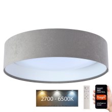 LED Stmievateľné stropné svietidlo SMART GALAXY LED/36W/230V pr. 55 cm 2700-6500K Wi-Fi Tuya šedá/biela + diaľkové ovládanie
