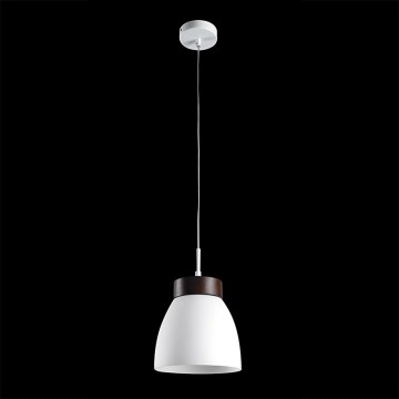 Luxera 18069 - luster FOCUS 1xE27/40W/230V Luxera 18069 - luster FOCUS 1xE27/40W/230V