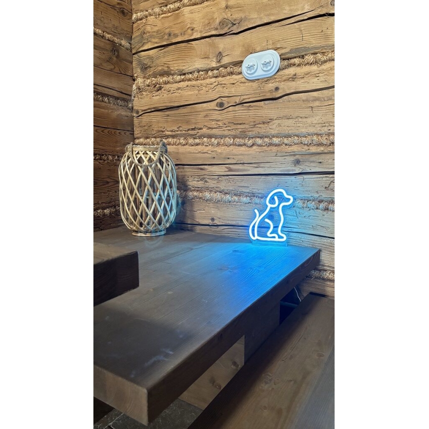 2Kids Toys - LED Neónová stolná dekorácia LED/5W/USB pes