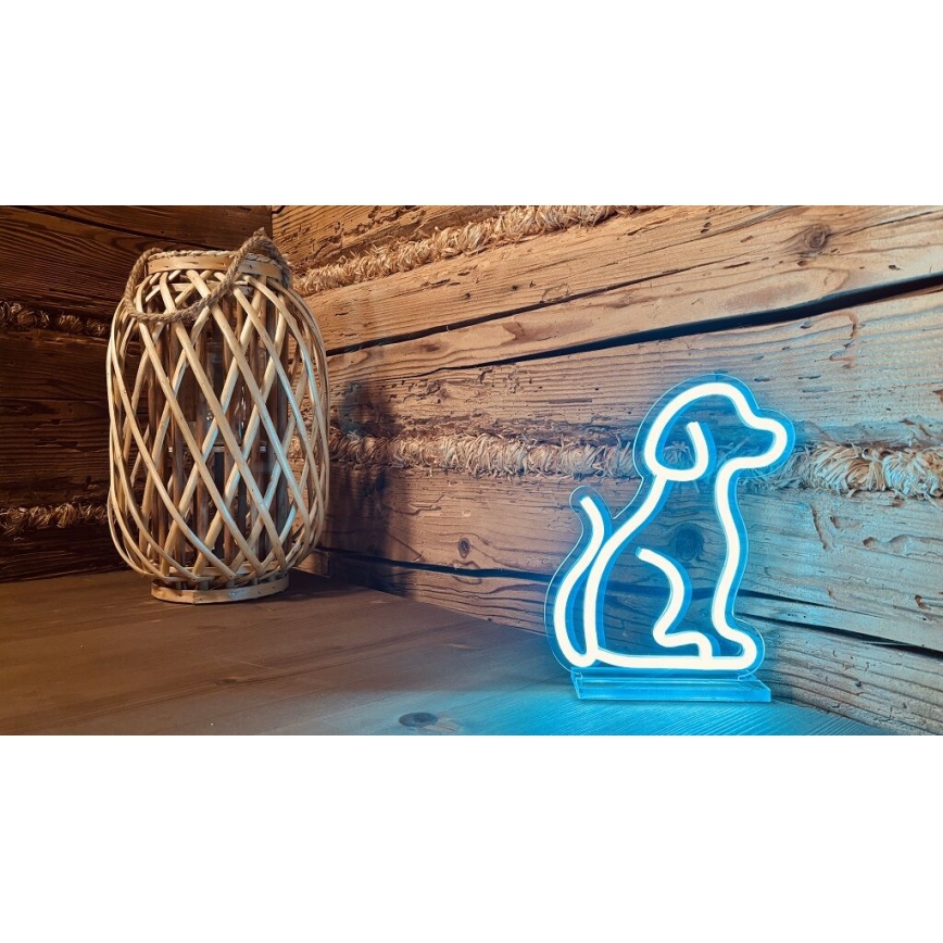 2Kids Toys - LED Neónová stolná dekorácia LED/5W/USB pes