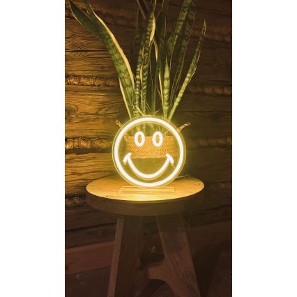 2Kids Toys - LED Neónova stolná dekorácia LED/5W/USB smajlík