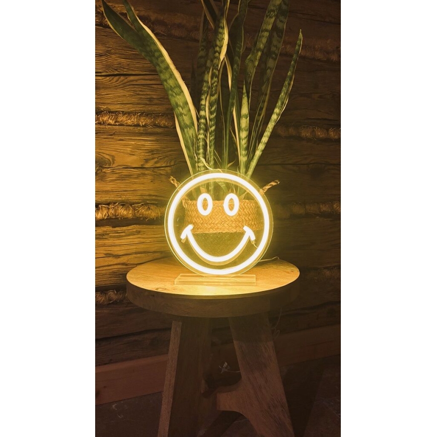2Kids Toys - LED Neónova stolná dekorácia LED/5W/USB smajlík