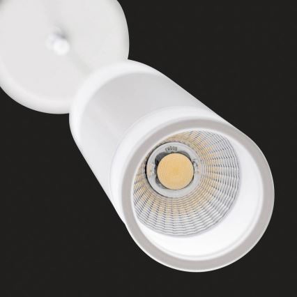 AEG - LED Stmievateľný luster na lanku ABBY LED/10W/230V