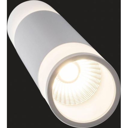 AEG - LED Stmievateľný luster na lanku ABBY LED/10W/230V