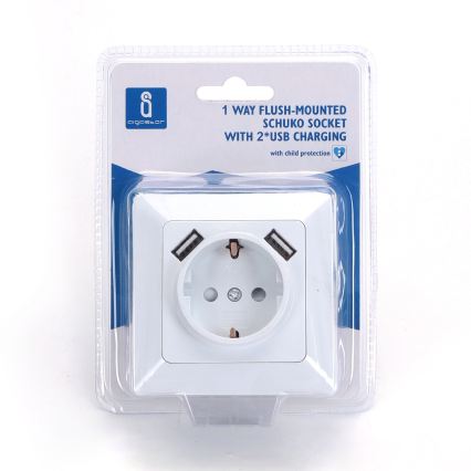 Aigostar - Domáca zásuvka SCHUKO 250V + 2x USB, biela, s rámikom