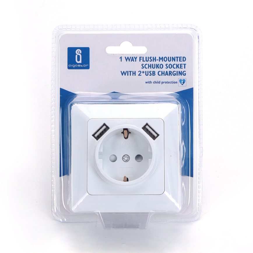 Aigostar - Domáca zásuvka SCHUKO 250V + 2x USB, biela, s rámikom
