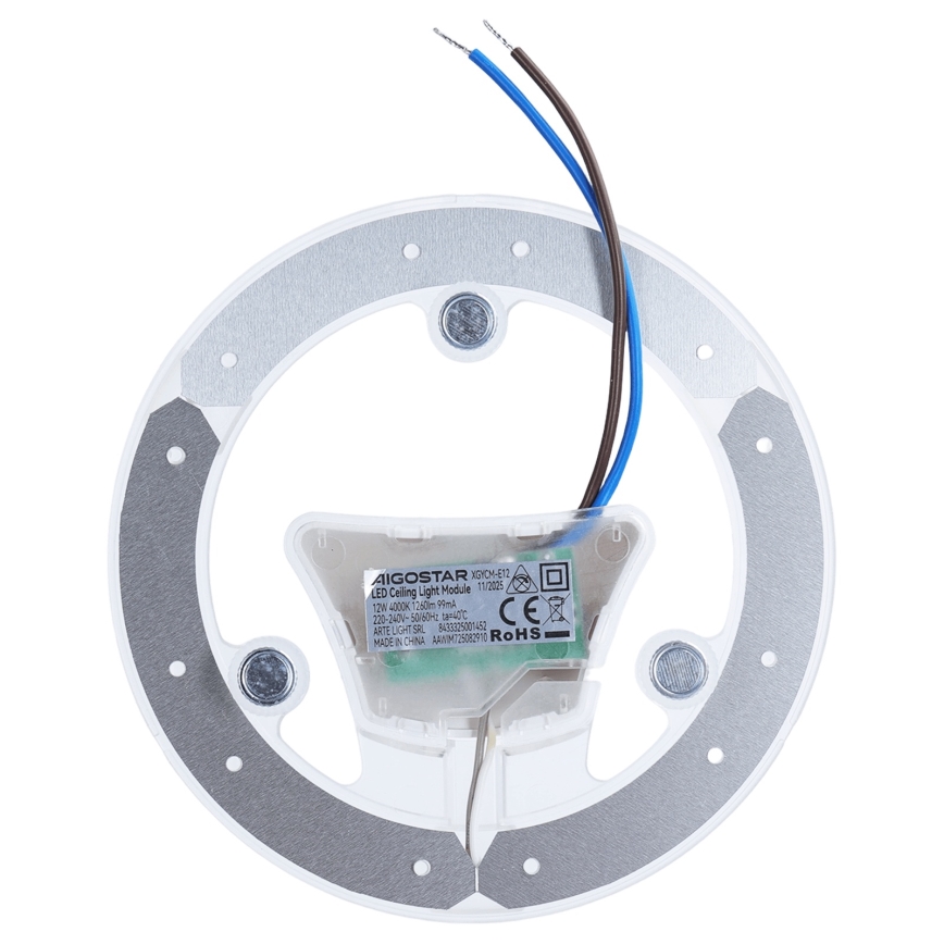 Aigostar - LED magnetický modul LED/12W/230V 4000K