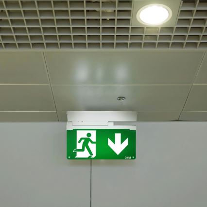 Aigostar - LED Núdzové svietidlo EMERGENCY EXIT LED/3,6W/230V 6500K 500mAh