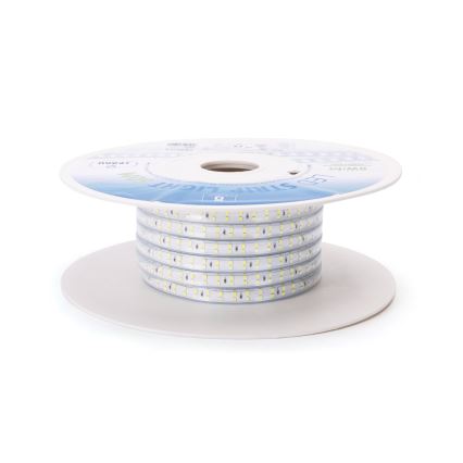 Aigostar - LED pás LED/400W/230V 50m 6500K IP65