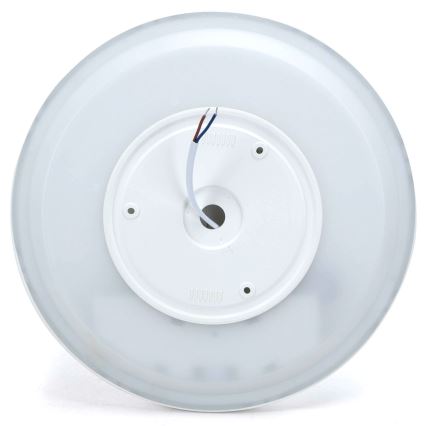 Aigostar - LED RGBW Stmievateľné stropné svietidlo MESH LED/24W/230V 3000-6500K biela + diaľkové ovládanie