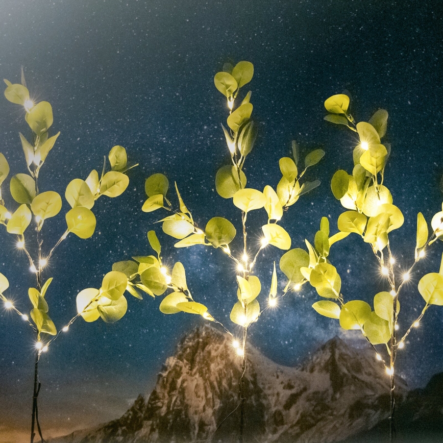 Aigostar - LED Solárna dekorácia 60xLED/3,5m IP65 teplá biela eukalyptus
