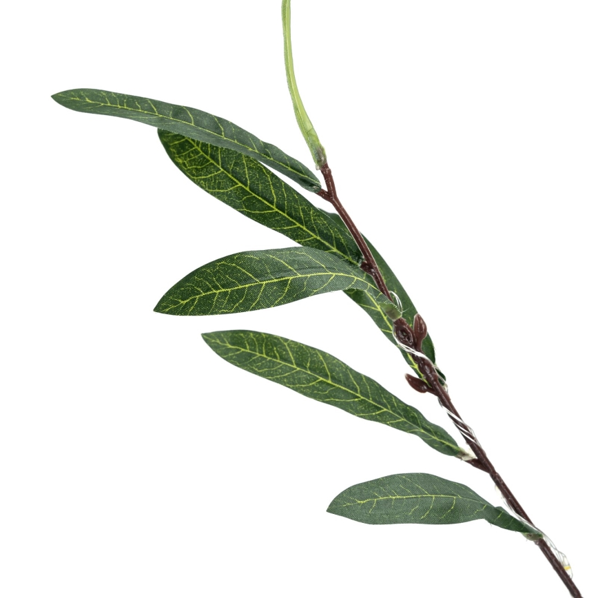 Aigostar - LED Solárna dekorácia 60xLED/3,5m IP65 teplá biela olive