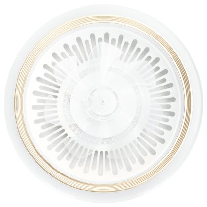 Aigostar - LED Stmievateľné stropní ventilátor LED/40W/230V 2700/4000/6500K pr. 50 cm + diaľkové ovládanie biela
