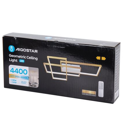 Aigostar - LED Stmievateľné stropné svietidlo LED/38W/230V 2700-6500K + diaľkové ovládanie