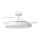 Aigostar - LED Stmievateľné stropné svietidlo s ventilátorom MESH LED/50W/230V 2700-6500K čierna + diaľkové ovládanie