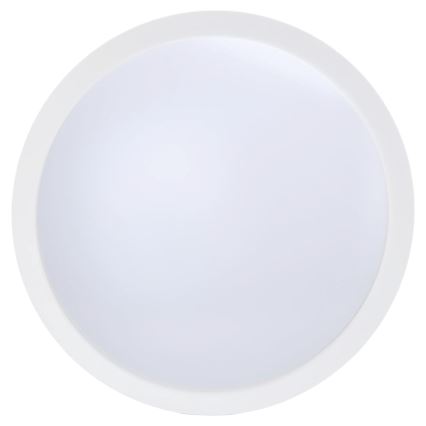 Aigostar - LED stmievateľný stropný ventilátor LED/50W/230V 2700-6500K pr. 106cm biela + diaľkové ovládanie