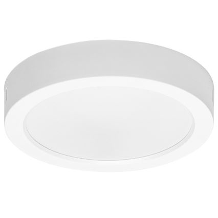 Aigostar - LED Stropné prisadené svietidlo LED/12W/230V pr. 17,4 cm 6500K biela