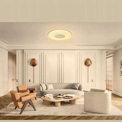 Aigostar - LED Stropné svietidlo LED/12W/230V 3000K pr. 26cm