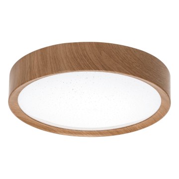 Aigostar - LED Stropné svietidlo LED/12W/230V 6500K pr. 26,3 cm