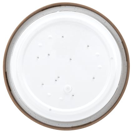 Aigostar - LED Stropné svietidlo LED/12W/230V 6500K pr. 26,3 cm