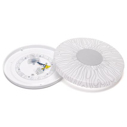 Aigostar - LED Stropné svietidlo LED/12W/230V 6500K pr. 26cm
