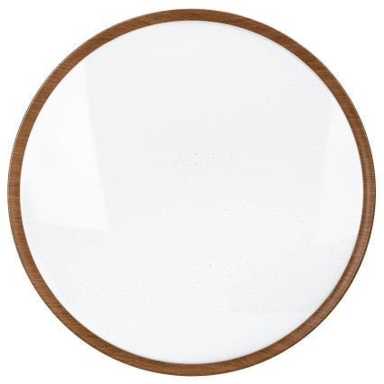 Aigostar - LED Stropné svietidlo LED/36W/230V 6500K pr. 48,1 cm