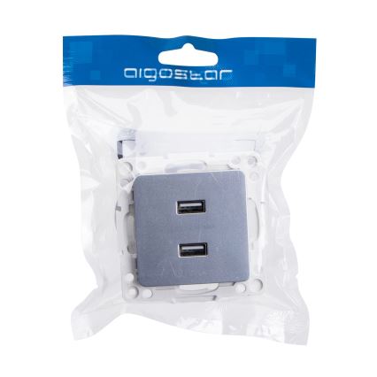 Aigostar - USB napájacia zásuvka bez rámčeka 2x USB-A strieborná
