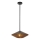 Alora Mood - Luster na tyči DAPHNE 1xE27/60W/230V pr. 38,1 cm čierna