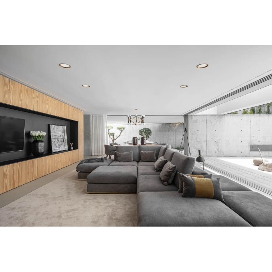APLED - LED Podhľadové svietidlo RONDO WOODLINE LED/12W/230V 3000K pr. 20 cm jaseň masív