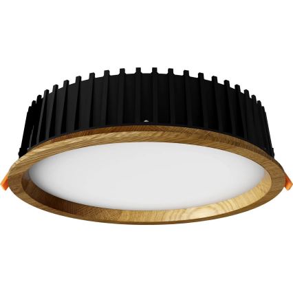 APLED - LED Podhľadové svietidlo RONDO WOODLINE LED/18W/230V 4000K pr. 26 cm dub masív