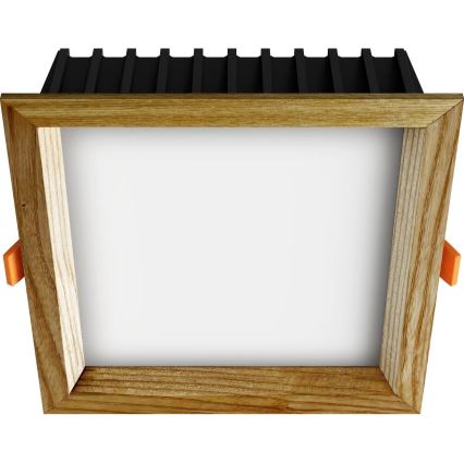 APLED - LED Podhľadové svietidlo SQUARE WOODLINE LED/12W/230V 4000K 17x17 cm jaseň masív