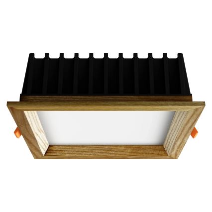 APLED - LED Podhľadové svietidlo SQUARE WOODLINE LED/12W/230V 4000K 17x17 cm jaseň masív