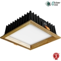 APLED - LED Podhľadové svietidlo SQUARE WOODLINE LED/12W/230V 3000K 17x17 cm jaseň masív