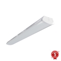 APLED - LED Prisadené svietidlo TROUT LED/72W/230V 4000K