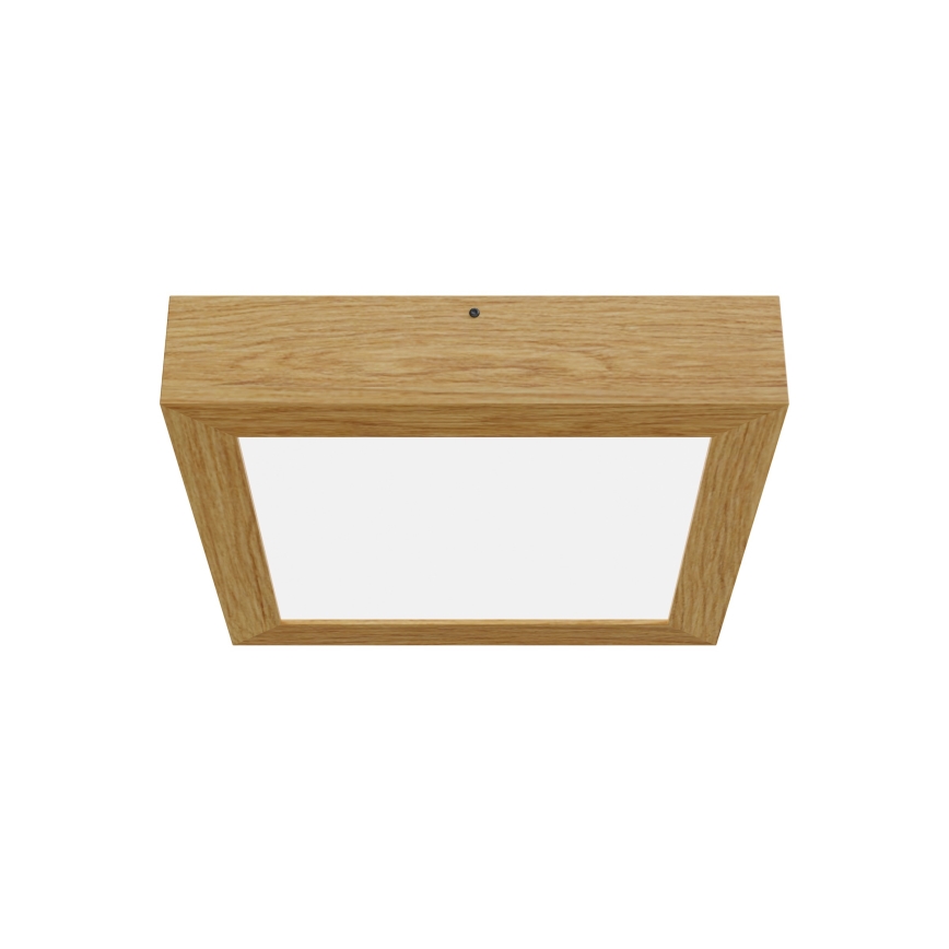 APLED - LED Stropné svietidlo QUADRA LED/24W/230V dub