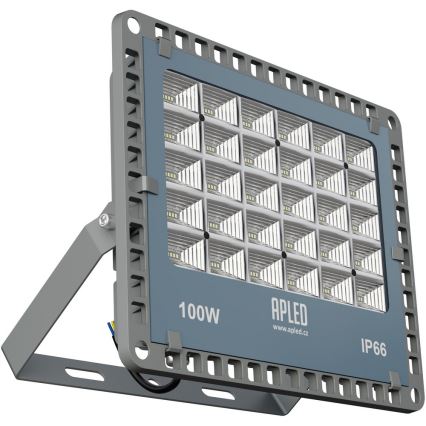 APLED - LED Vonkajší reflektor PRO LED/100W/230V IP66 10000lm 6000K