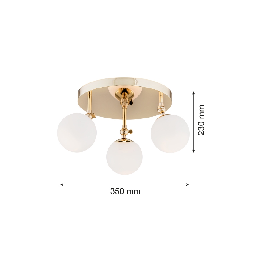 Argon 1435 - Kúpeľňový prisadený luster LATINA 3xE14/40W/230V IP44