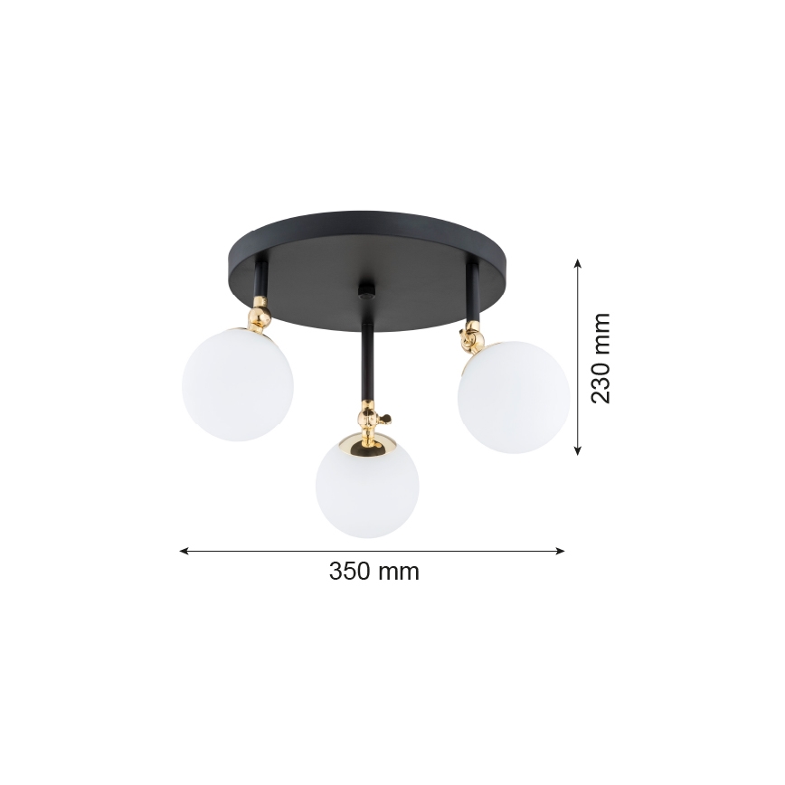 Argon 1436 - Kúpeľňový prisadený luster LATINA 3xE14/40W/230V IP44