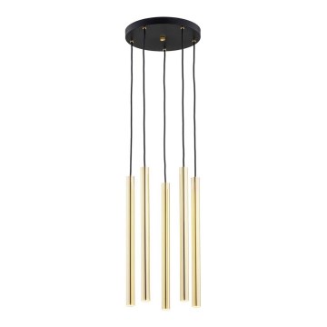 Argon 2109 - LED Luster na lanku SICILIA 5xLED/4,5W/230V