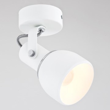 Argon 3587 - Bodové svietidlo FOGO 1xE27/60W/230V Argon 3587 - Bodové svietidlo FOGO 1xE27/60W/230V
