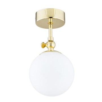 Argon 4001 - Kúpeľňové prisadené svietidlo LATINA 1xE14/40W/230V IP44