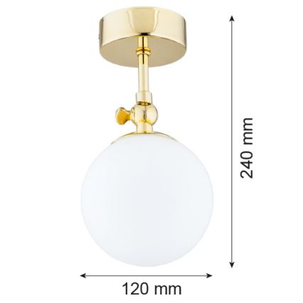 Argon 4001 - Kúpeľňový prisadený luster LATINA 1xE14/40W/230V IP44