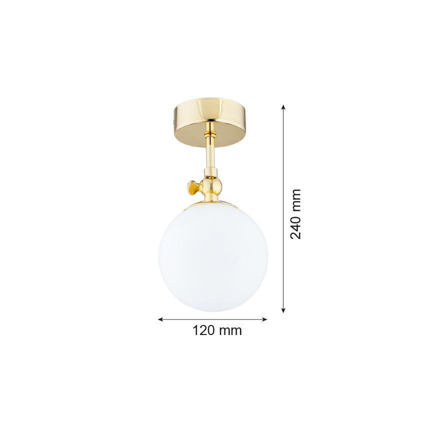 Argon 4001 - Kúpeľňový prisadený luster LATINA 1xE14/40W/230V IP44