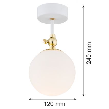 Argon 4002 - Kúpeľňový prisadený luster LATINA 1xE14/7W/230V IP44 biela/zlatá