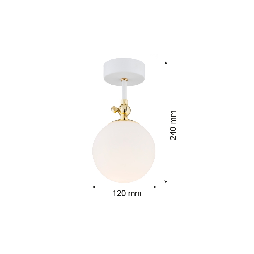 Argon 4002 - Kúpeľňový prisadený luster LATINA 1xE14/7W/230V IP44 biela/zlatá