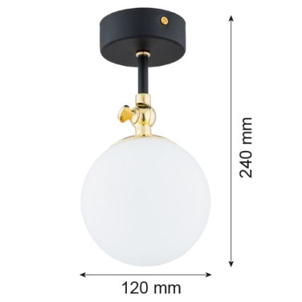 Argon 4003 - Kúpeľňový prisadený luster LATINA 1xE14/7W/230V IP44 čierna/mosadz