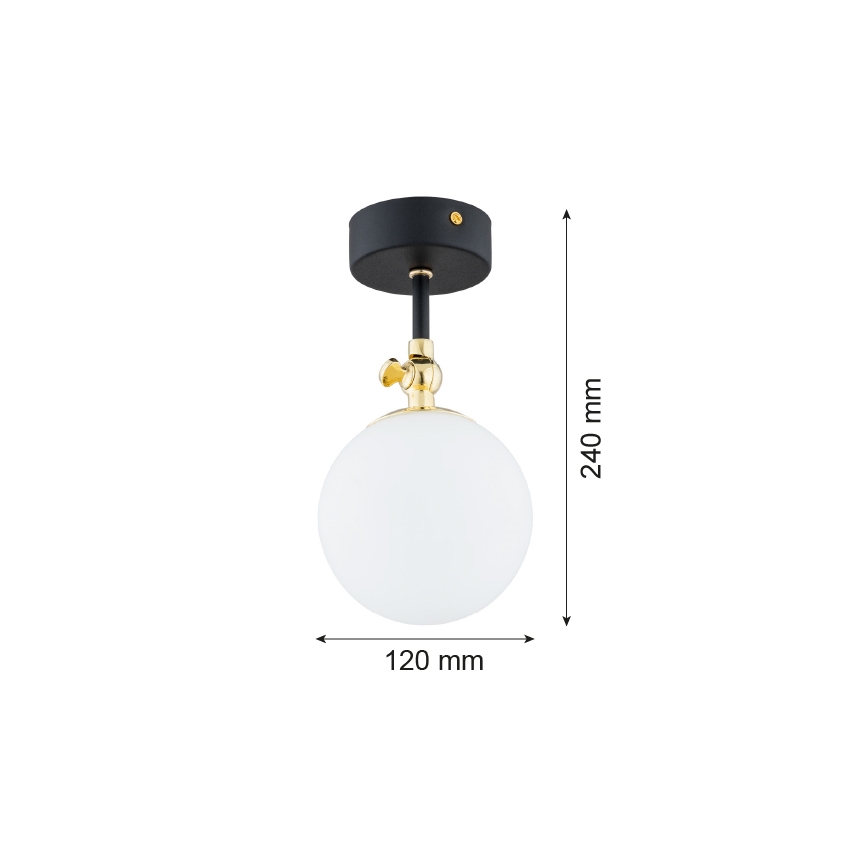 Argon 4003 - Kúpeľňový prisadený luster LATINA 1xE14/7W/230V IP44 čierna/mosadz