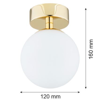 Argon 4004 - Kúpeľňové stropné svietidlo FLAVIO 1xE14/7W/230V IP44