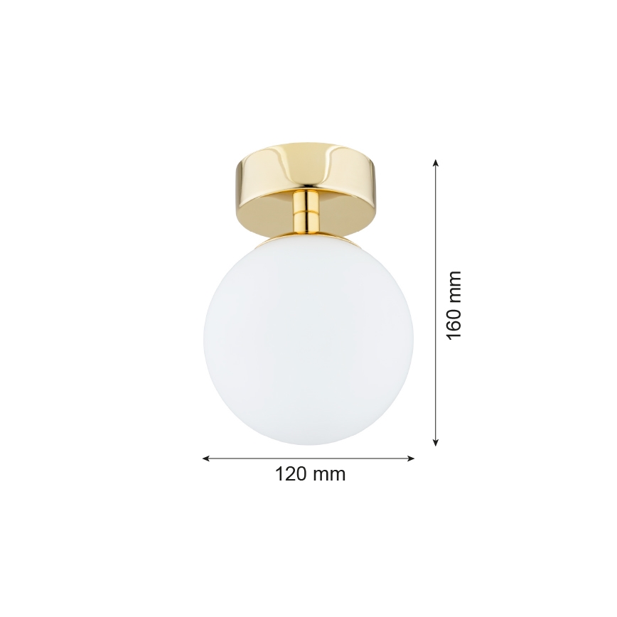 Argon 4004 - Kúpeľňové stropné svietidlo FLAVIO 1xE14/7W/230V IP44